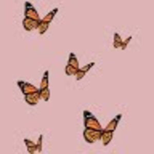 Meet your Posher, Dagny